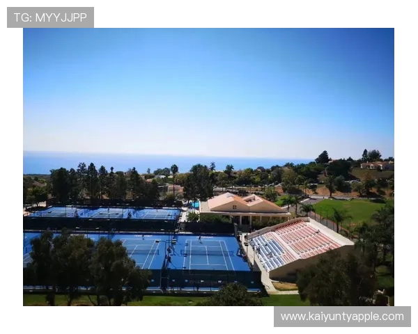 全面解析KY体育百家乐的规则与策略帮助新手快速入门体验乐趣